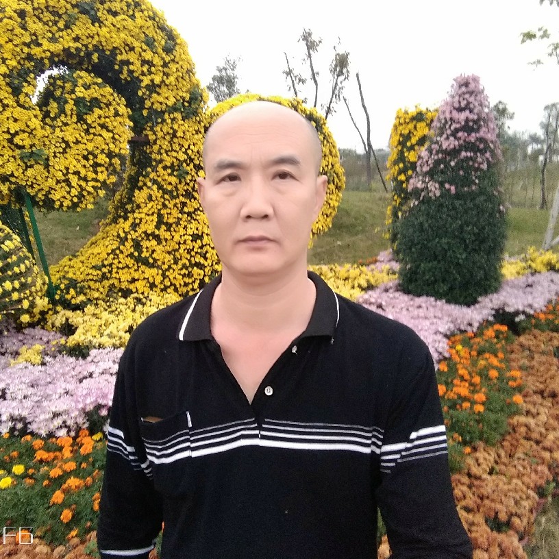 神勇犀牛的照片