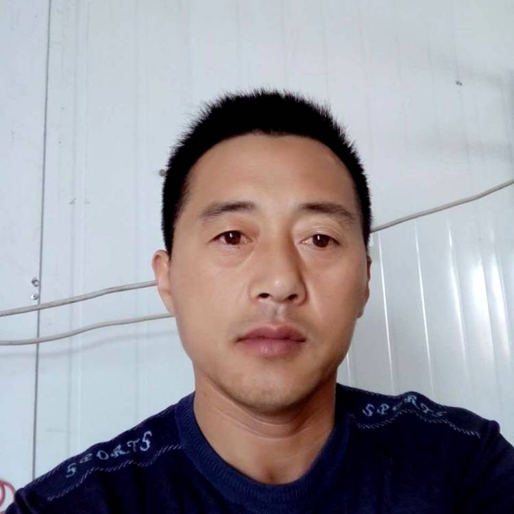 树叶忧虑的照片