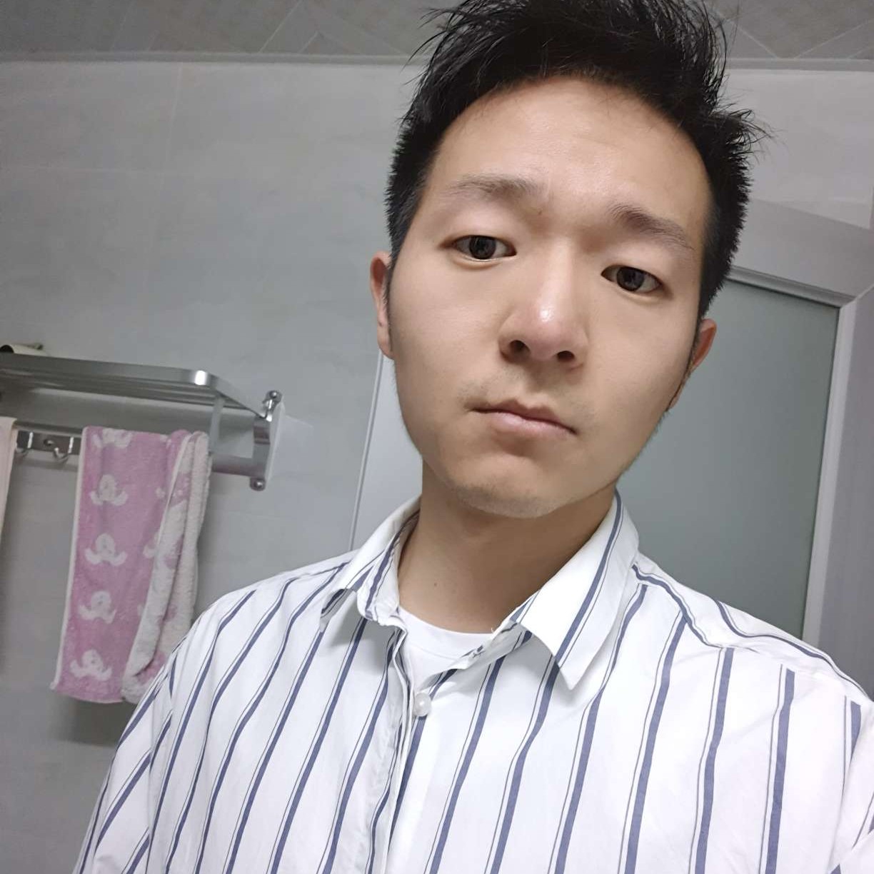 向日葵不聪明的照片
