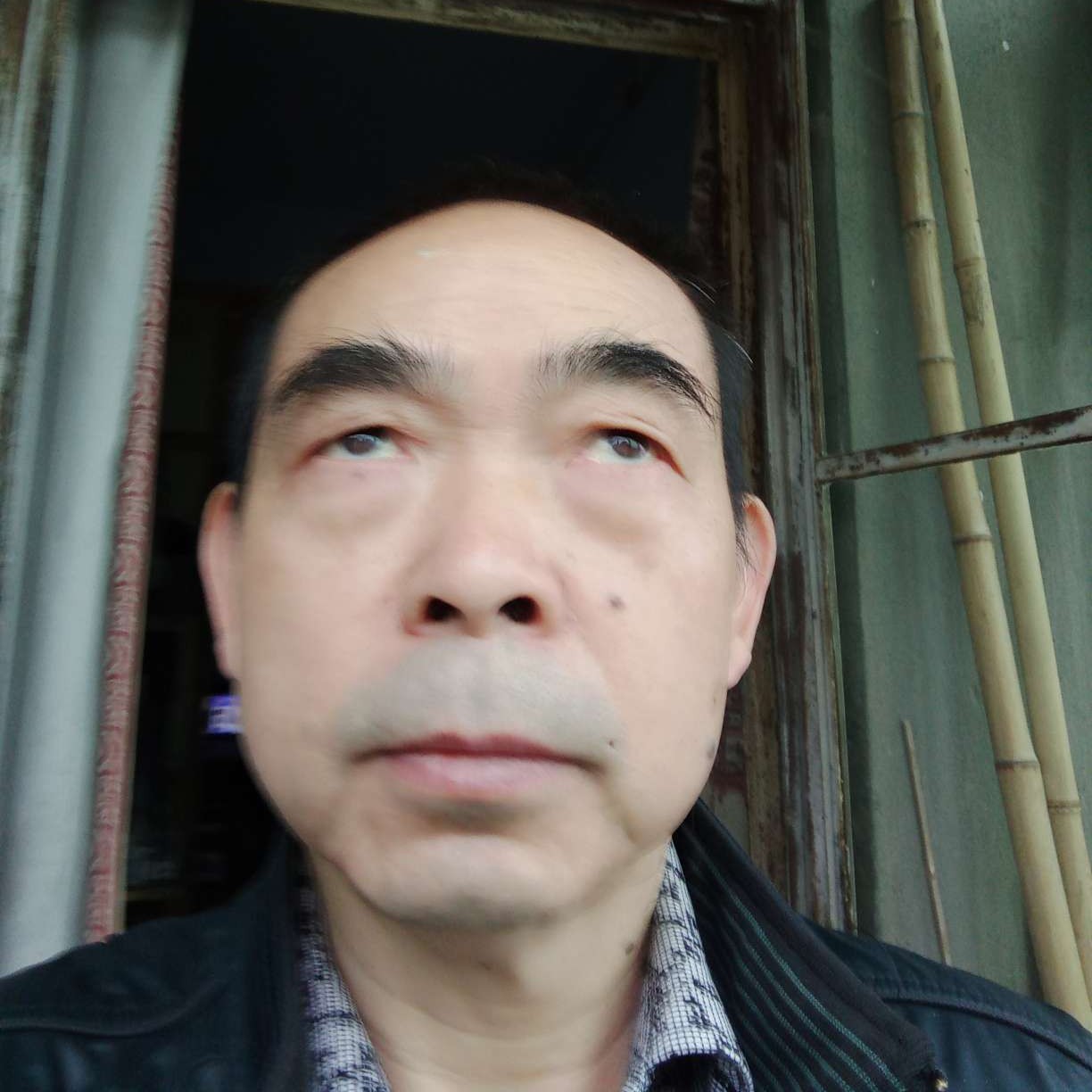 贪玩迎无可取代的的照片