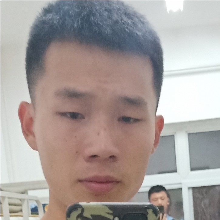 大大怪将军殴的照片