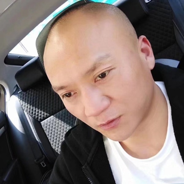 老鼠停止怕孤单的照片