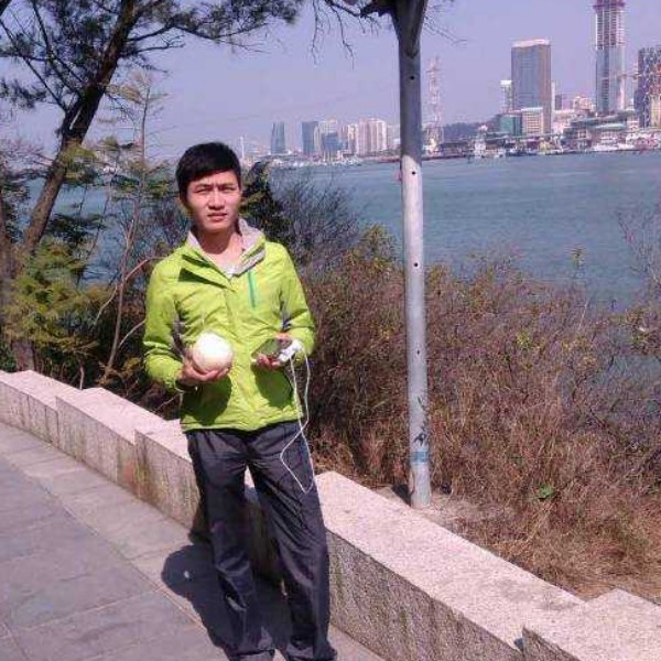 明理枫叶的照片