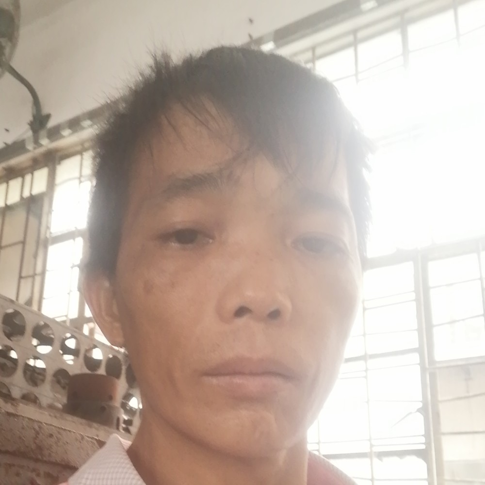 迷离打铃铛的照片