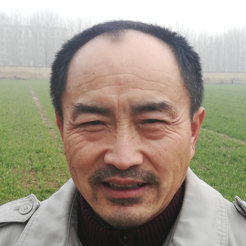 四九的阳光的照片