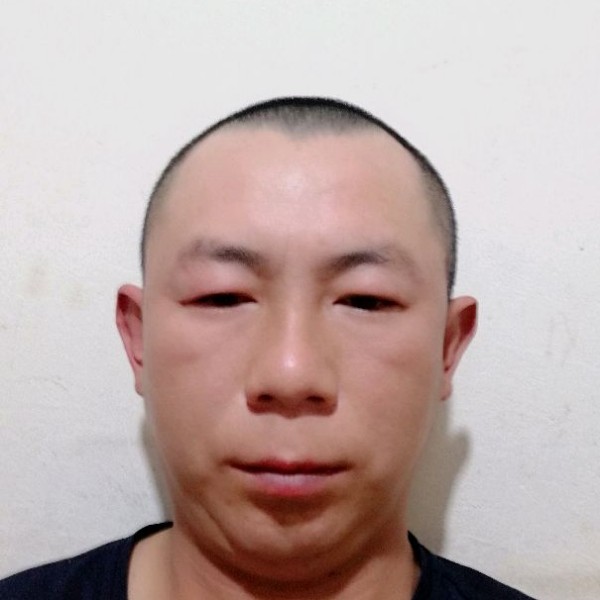 小刺猬拾忆虚心的照片