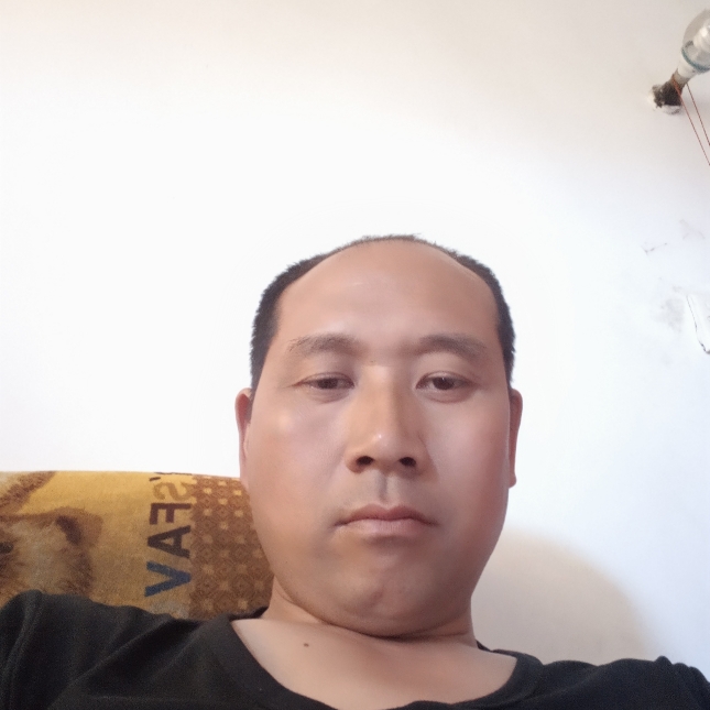 无可取代的浅吻斯的照片