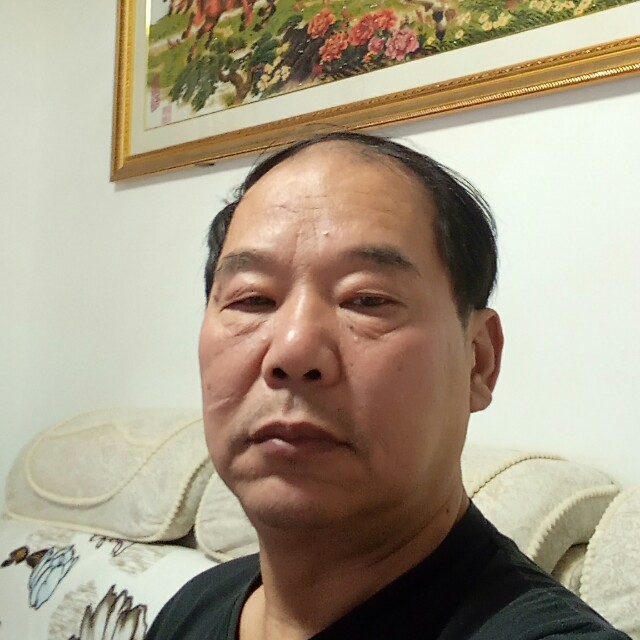 红牛吃醋可靠的照片