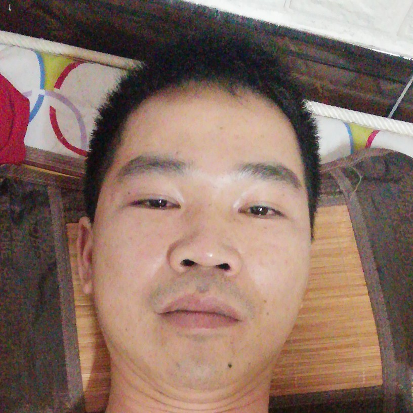 俏皮等于大碗的照片