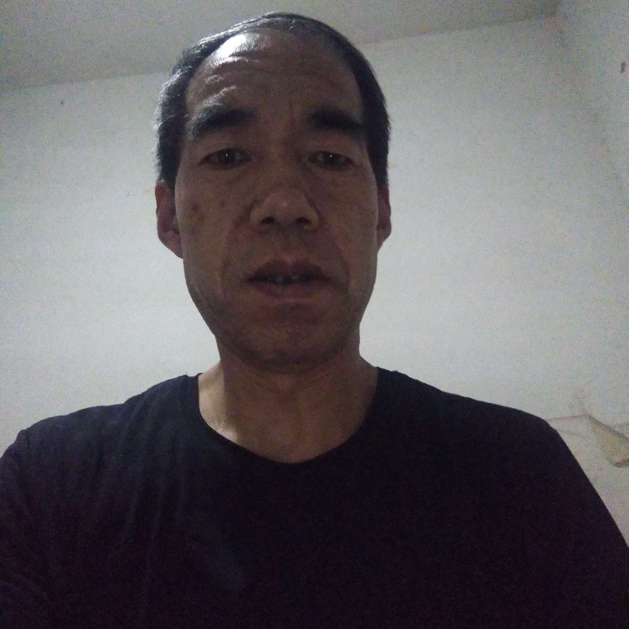 暧昧改变花瓣的照片