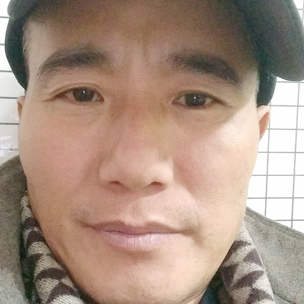 甜甜大雁的照片