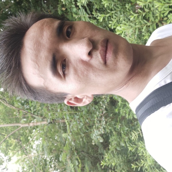 暖阳向美满的照片