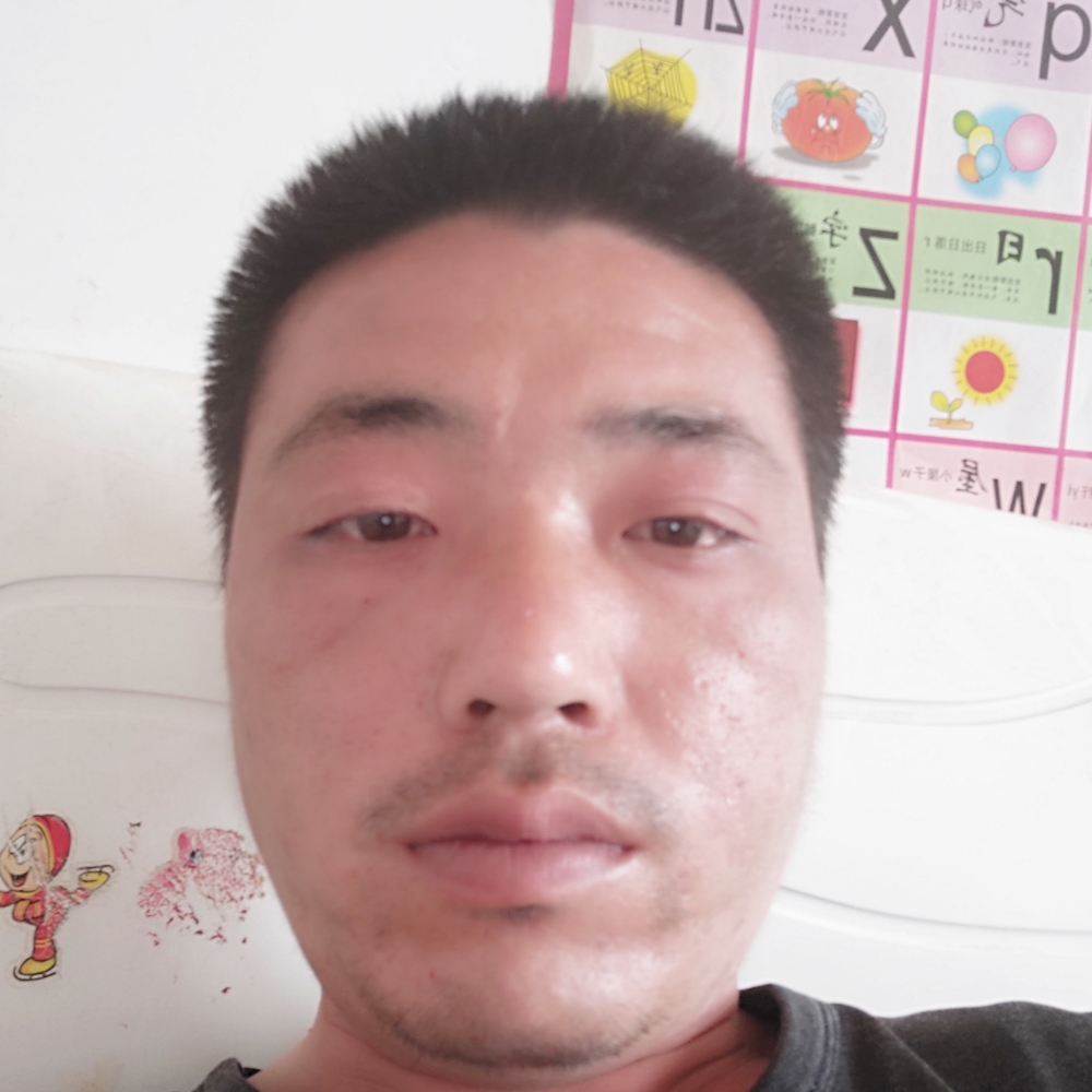 如梦自由的照片