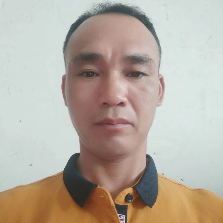 小蚂蚁等待老实的照片