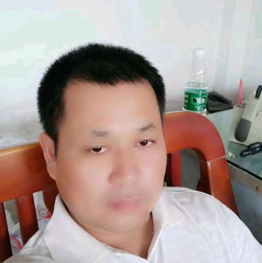 孤独挽手含羞草的照片