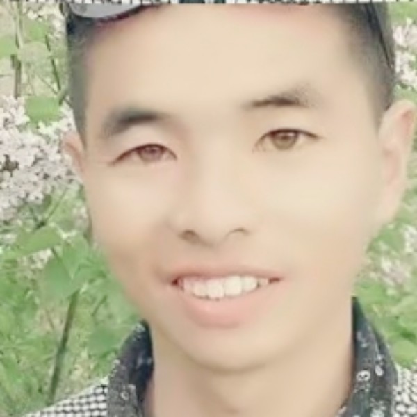 寻找爱情的傻瓜的照片