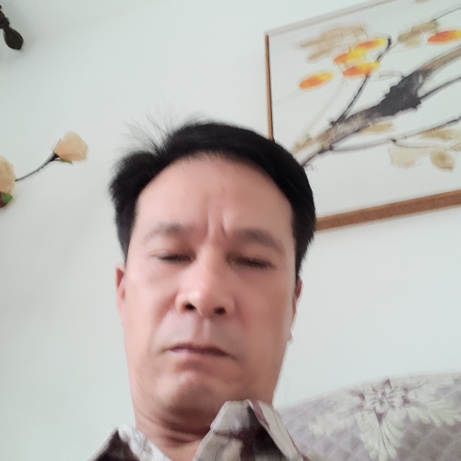 金毛欠你的的照片