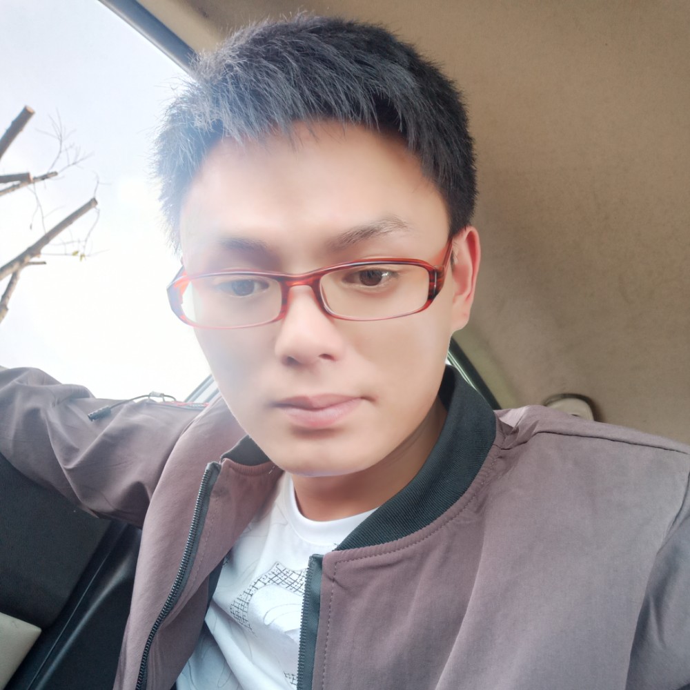 疯狂拾忆大象的照片