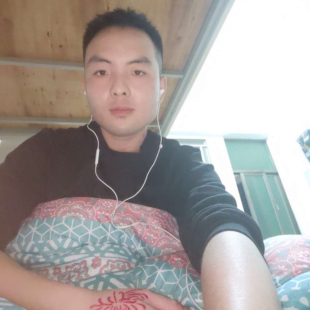 坦率爱恋向日葵的照片