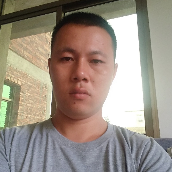 风趣老鼠的照片