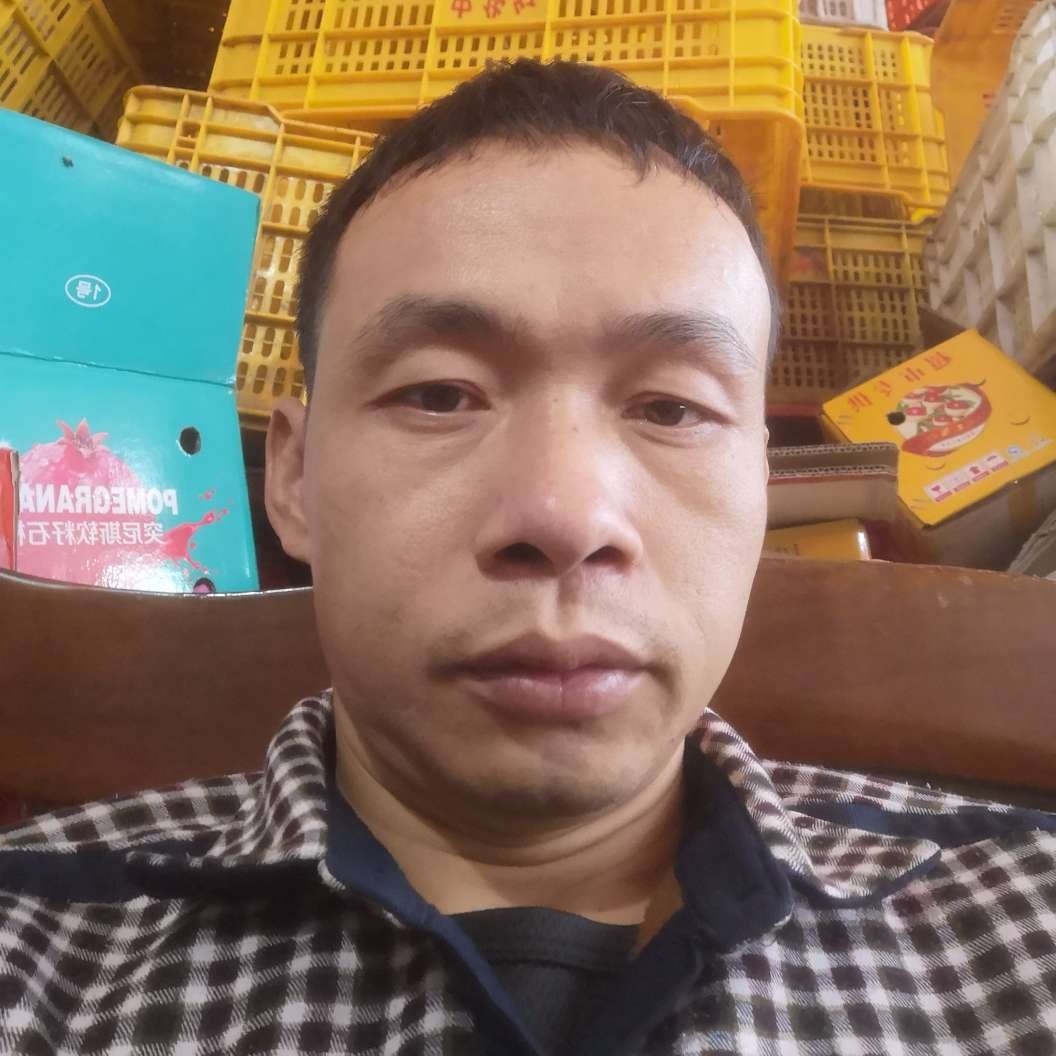 树叶拿大方的照片