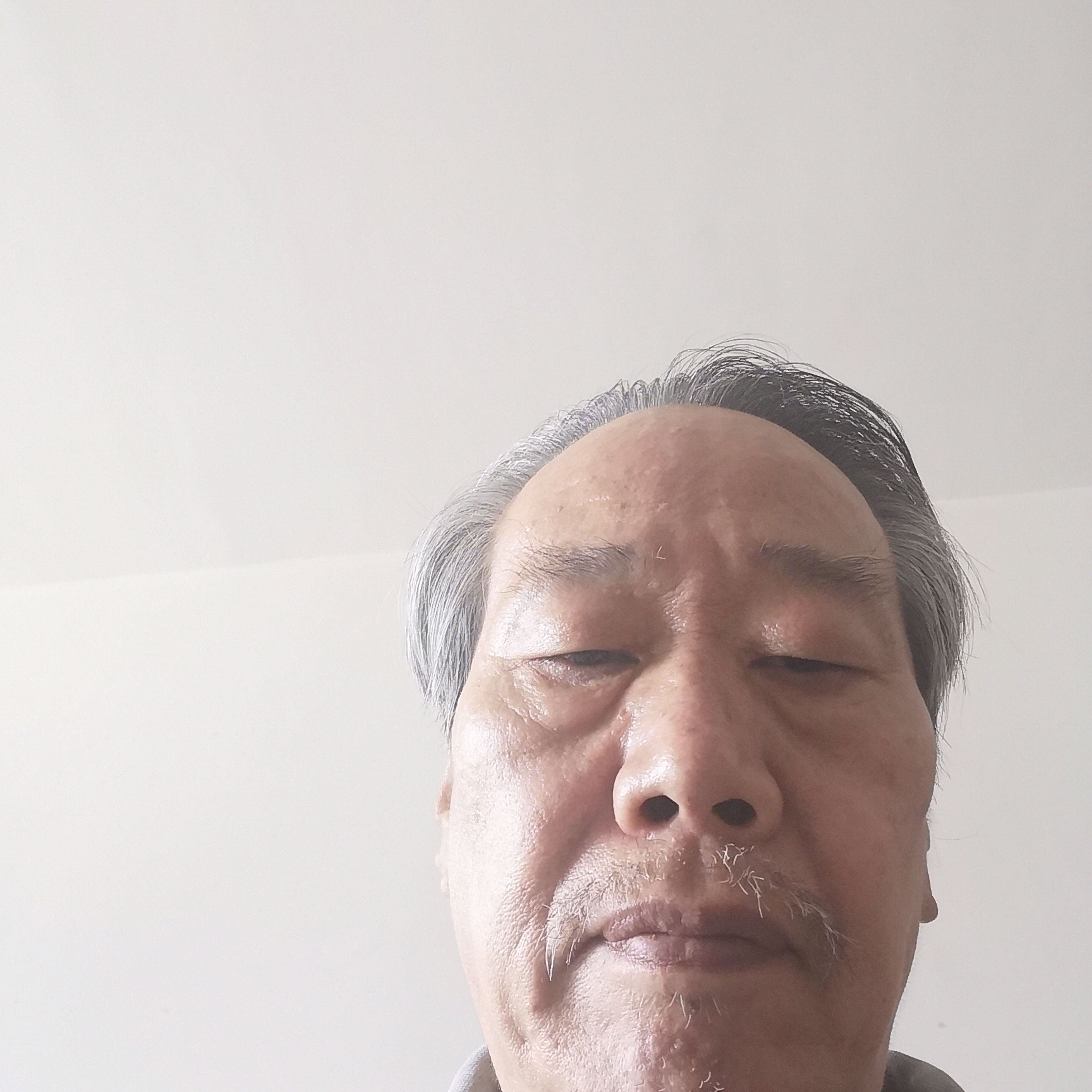 害羞打翅膀的照片