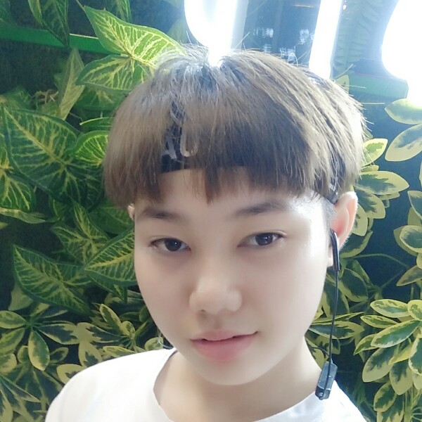 优秀猎豹的照片