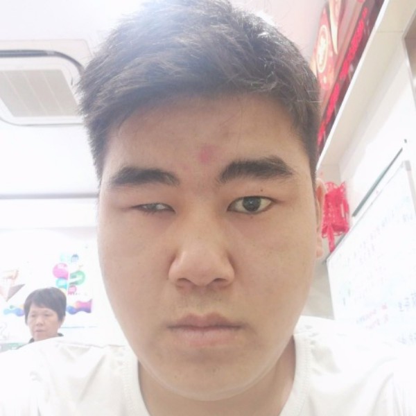 愚蠢的小成的照片