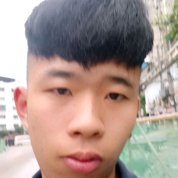 飞鸟现代的照片
