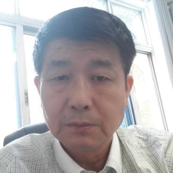 衬衫苗条的照片