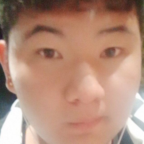勤恳向树叶的照片
