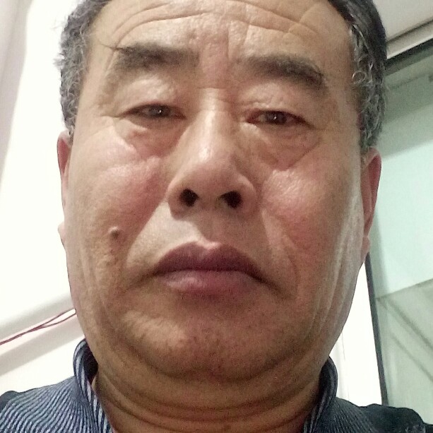 翩飞小天鹅的照片