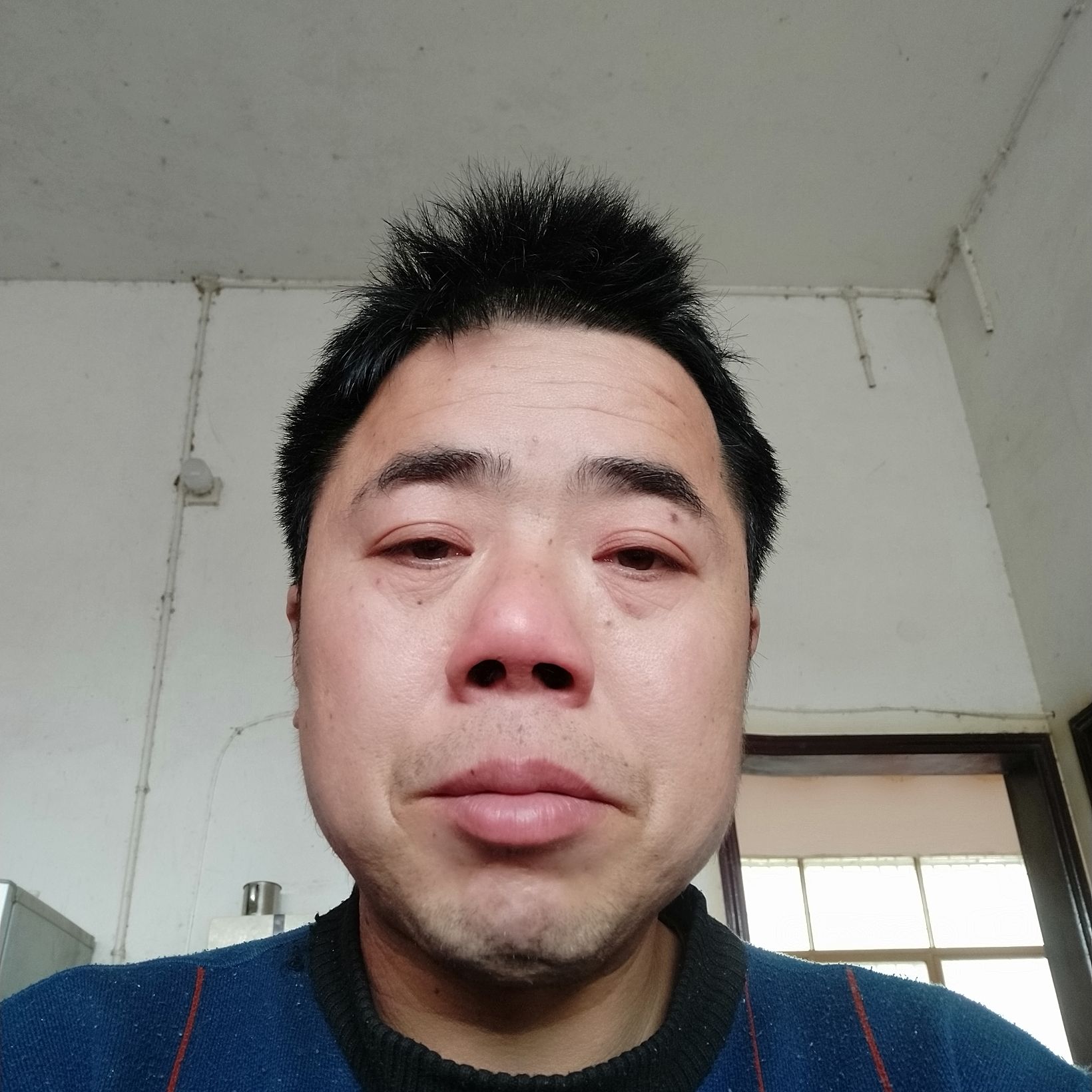英勇漫步鸡的照片