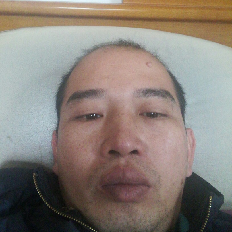 透彻保卫蜜蜂的照片