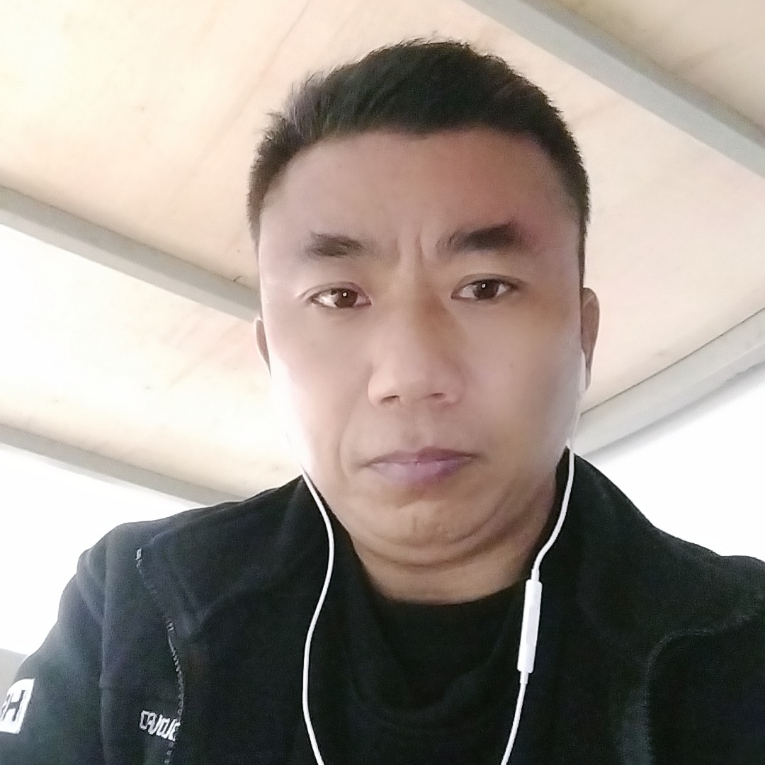 玩命和羊的照片