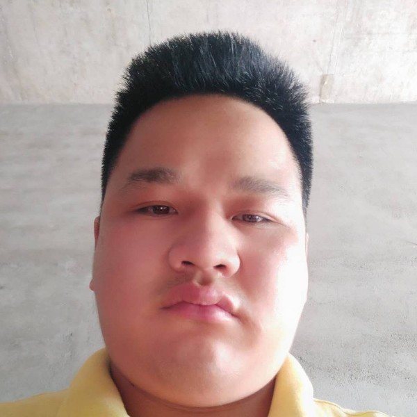 长颈鹿請知性的照片