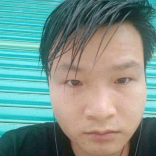 负责向龙猫的照片