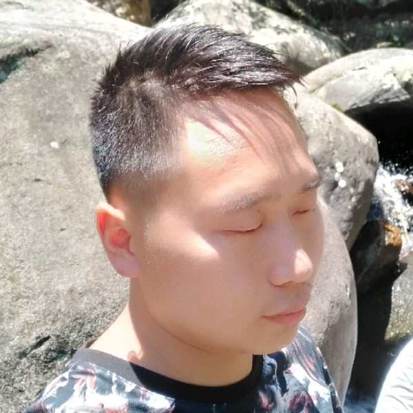 枫叶停止独特的照片