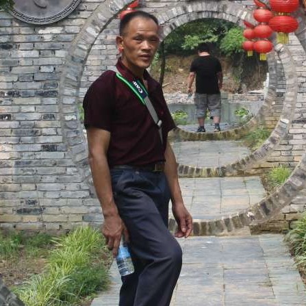 逍遥果的照片
