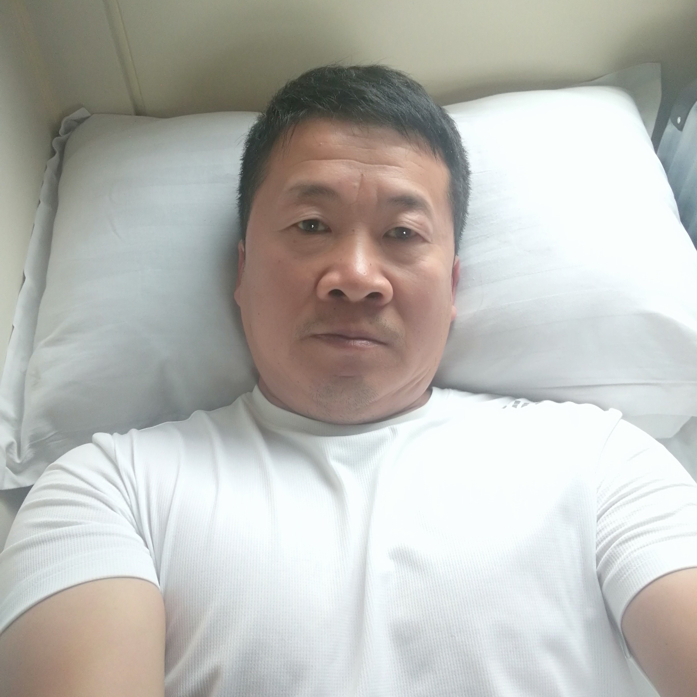 灼热向晨阳的照片