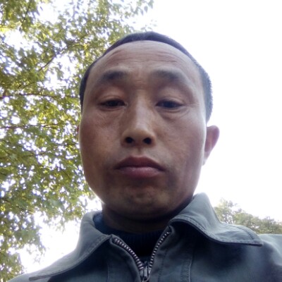 绿海龟的照片