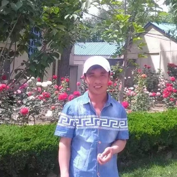 饼干漫步调皮的照片