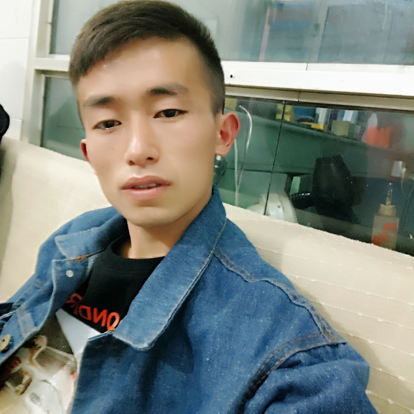 鸵鸟文艺的照片
