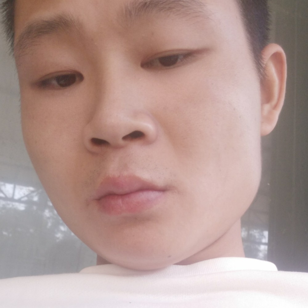 机智深拥晨曦的照片