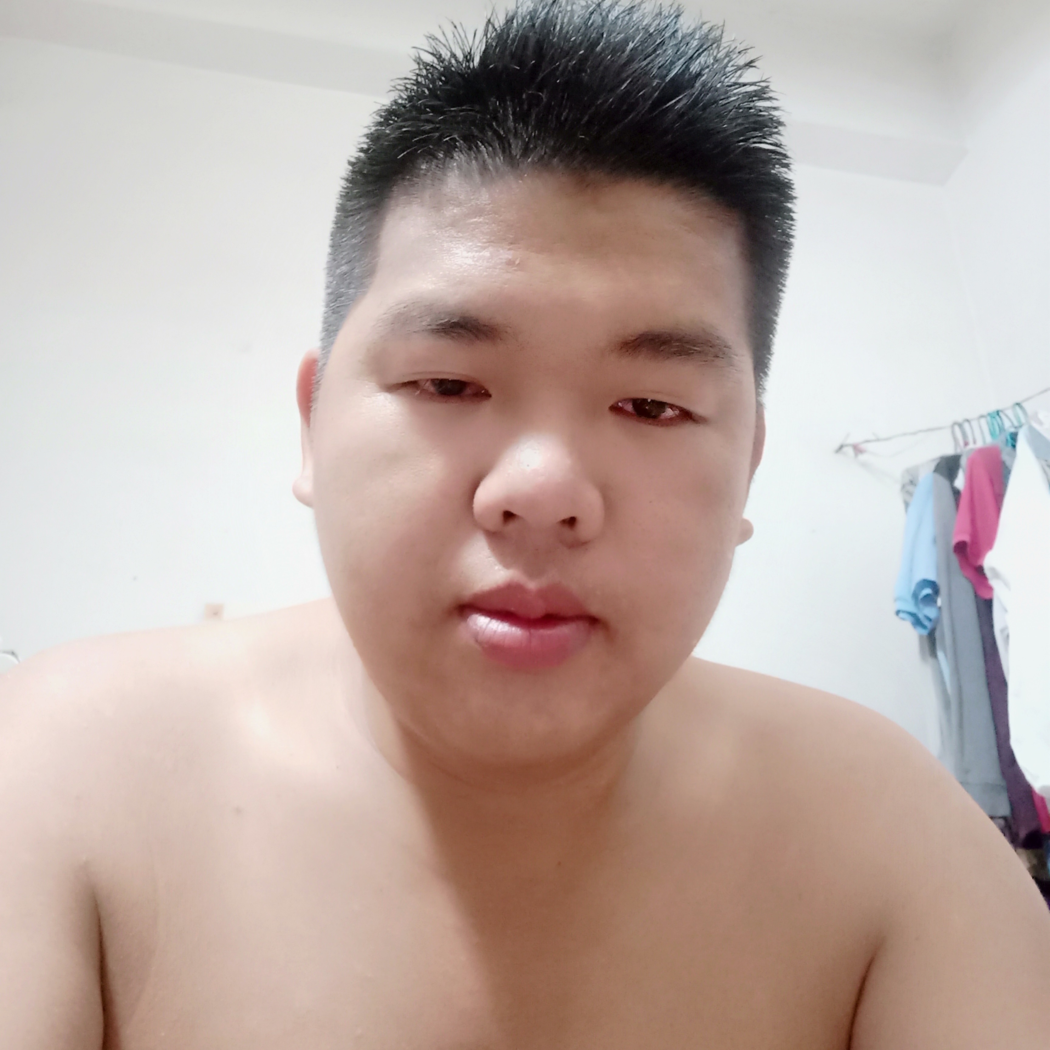 拉长方小鸽子的照片