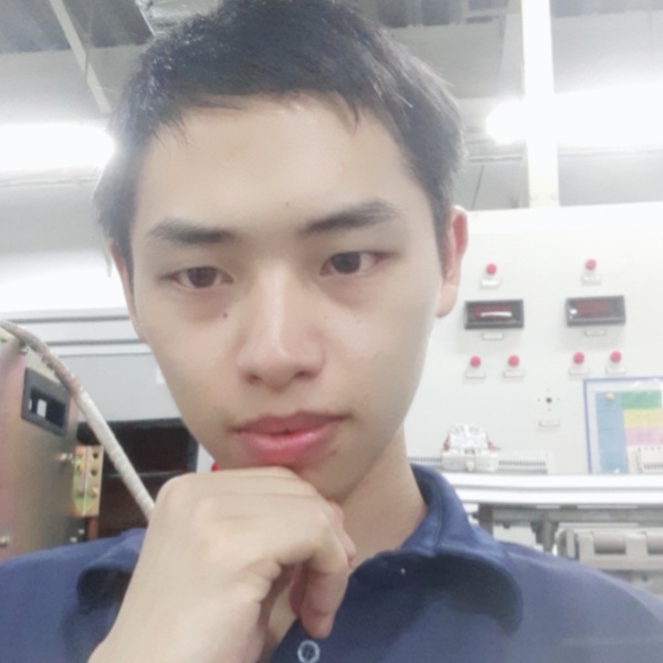 菠萝就一个人的照片