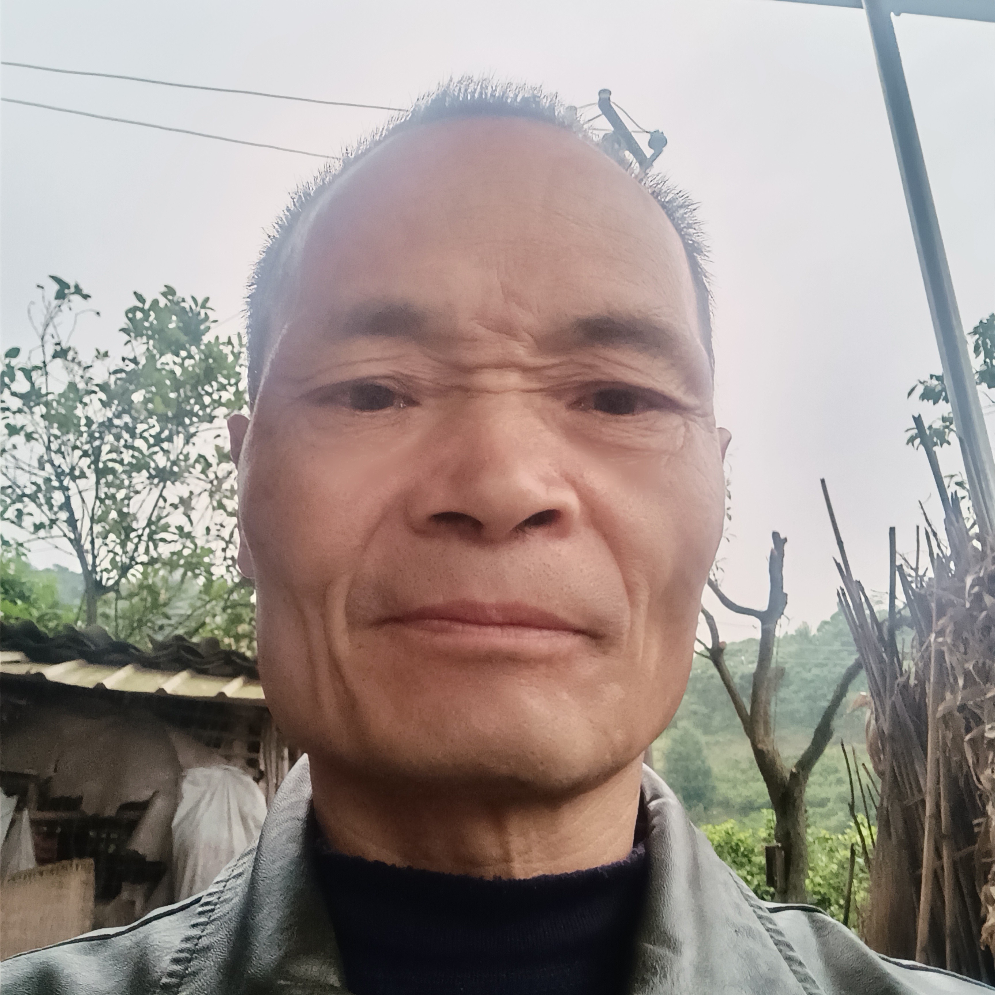 内向愿小鸽子的照片