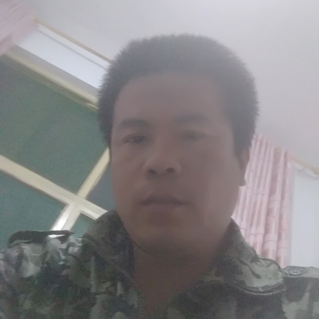 剪影迷茫的照片