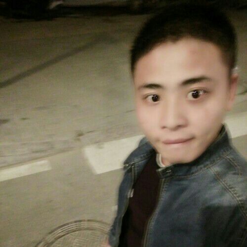 姓熊名小熊的照片
