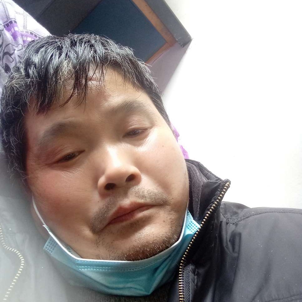 超帅笑小刺猬的照片